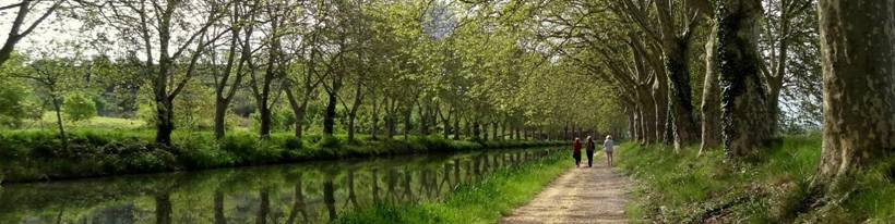  A walk along the Canal du Midi