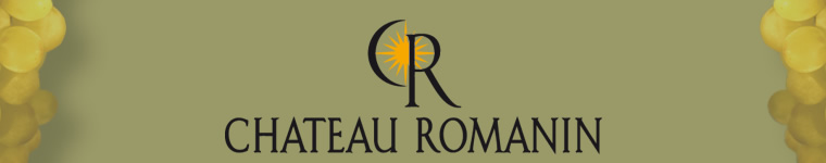 Chateau Romanin, in Provence - Wine growing estate